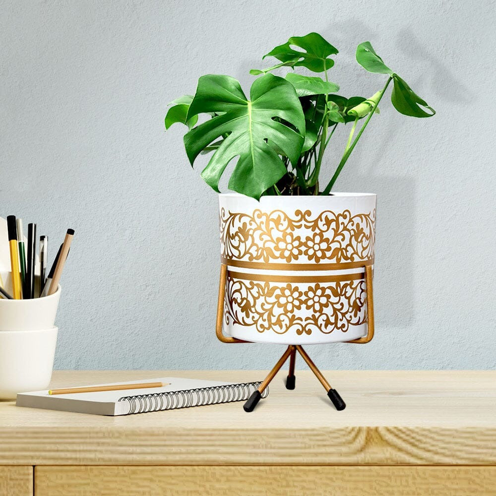 Designer Plant Holder – Ideal for Living Room, Balcony & Office