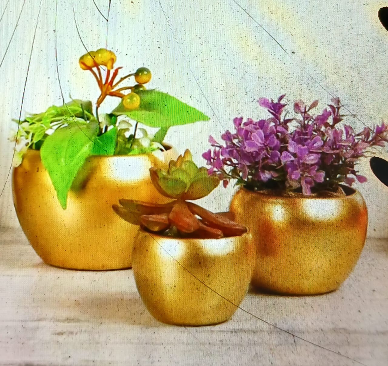 Designer Plant Holder – Ideal for Living Room, Balcony & Office